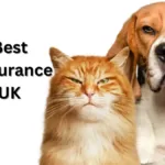10 Best Pet Insurance