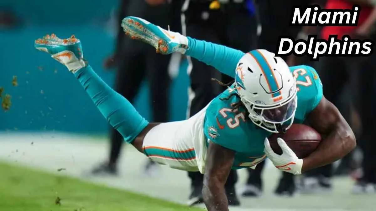 Miami Dolphins