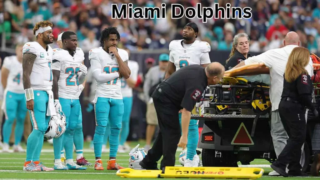 Miami Dolphins